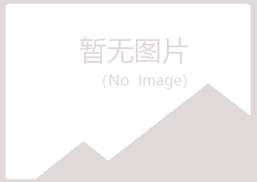 碌曲县夏槐工程有限公司